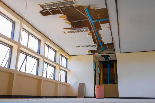 Best 24-hour water damage restoration  in Brandywine, MD