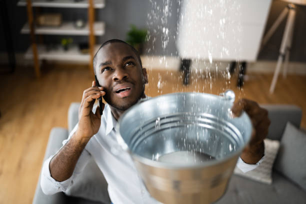 Best Local water damage restoration  in Brandywine, MD