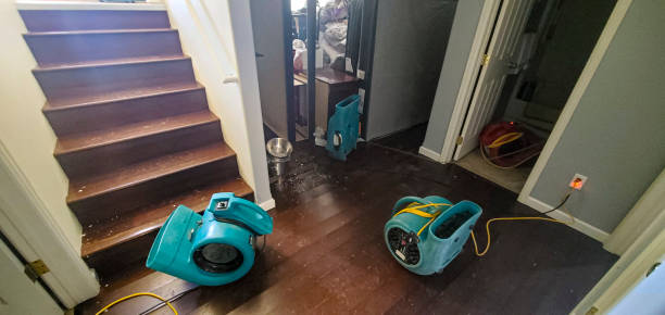 Best Water damage restoration near me  in Brandywine, MD