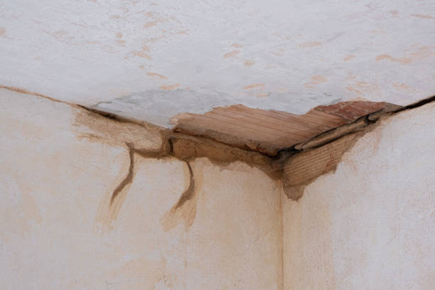 Best Fire Damage Restoration  in Brandywine, MD