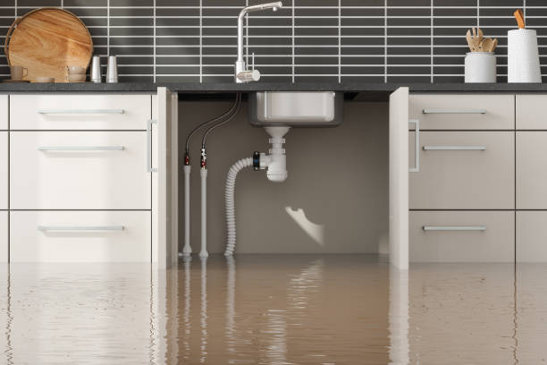 Best Basement water damage restoration  in Brandywine, MD