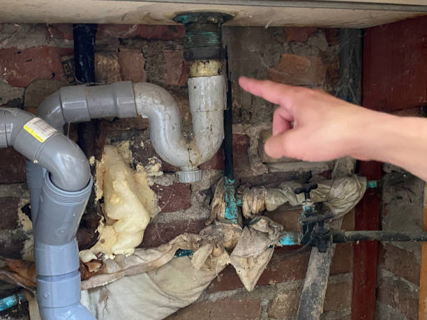 Best 24/7 water damage repair  in Brandywine, MD